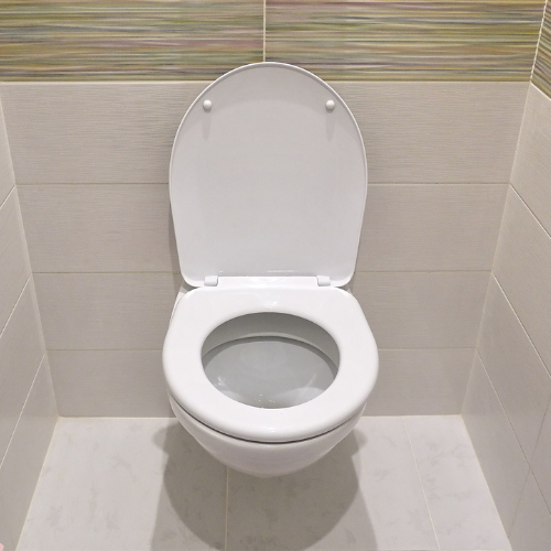 Toilet waarvan de afvoer verstopt is